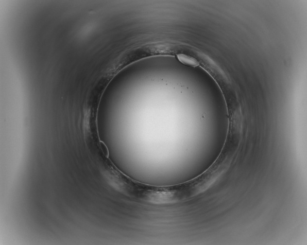 X0000116430217200912081531