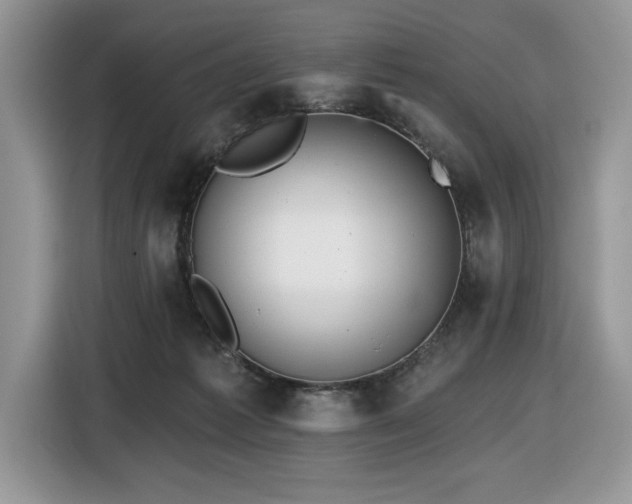 X0000116430221200912081531