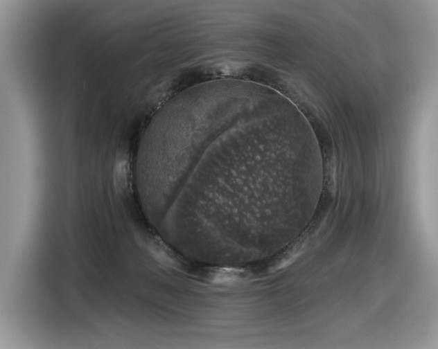 X0000116430222200912081531