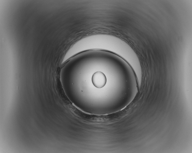 X0000116430223200912081531