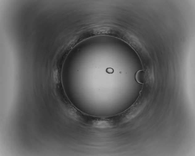 X0000116430224200912081531