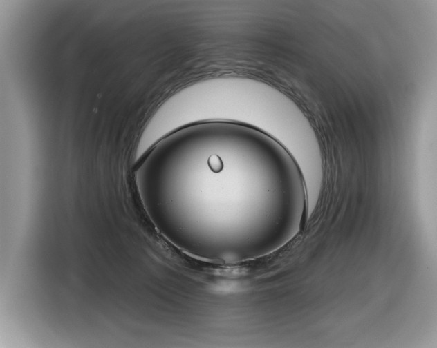 X0000116430225200912081531