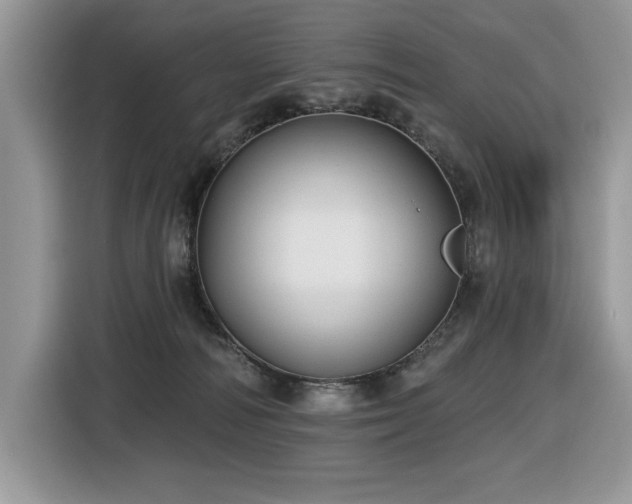 X0000116430226200912081531