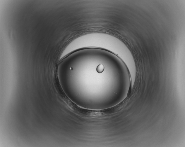 X0000116430227200912081531