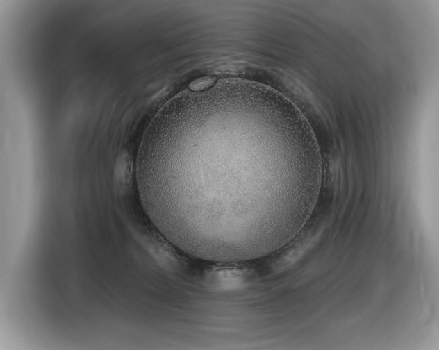 X0000116430228200912081531