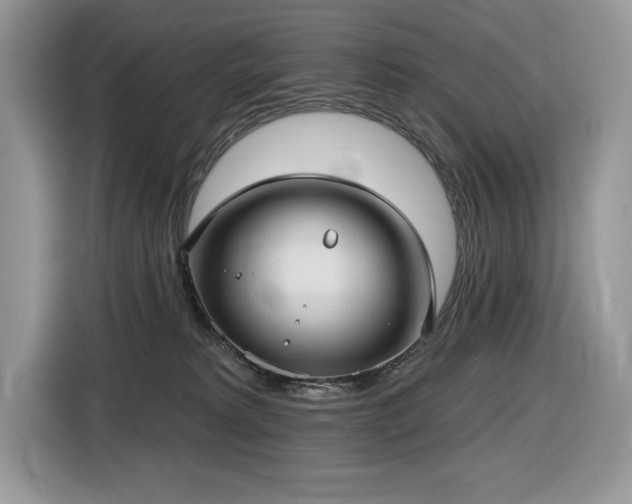 X0000116430229200912081531