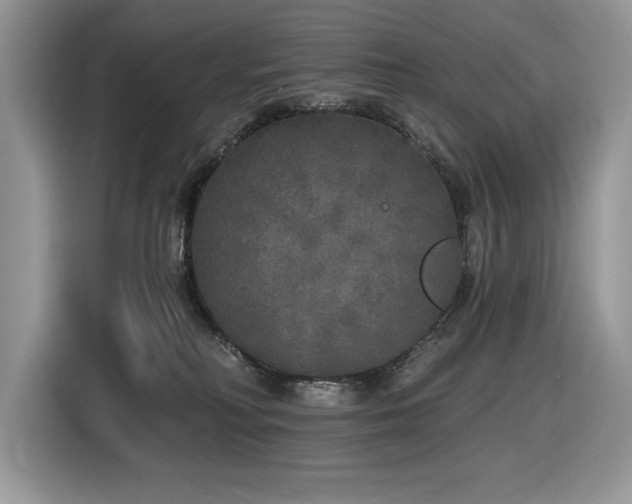 X0000116430230200912081531