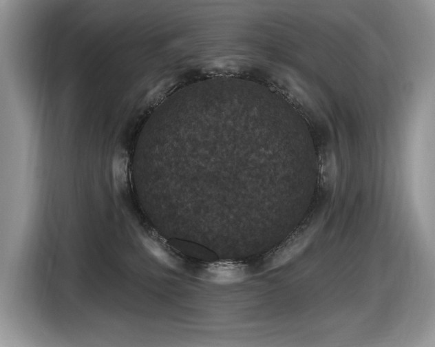 X0000116430231200912081531