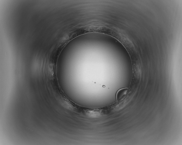 X0000116430232200912081531