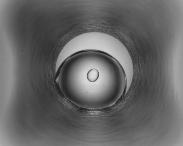 X0000116430233200912081531