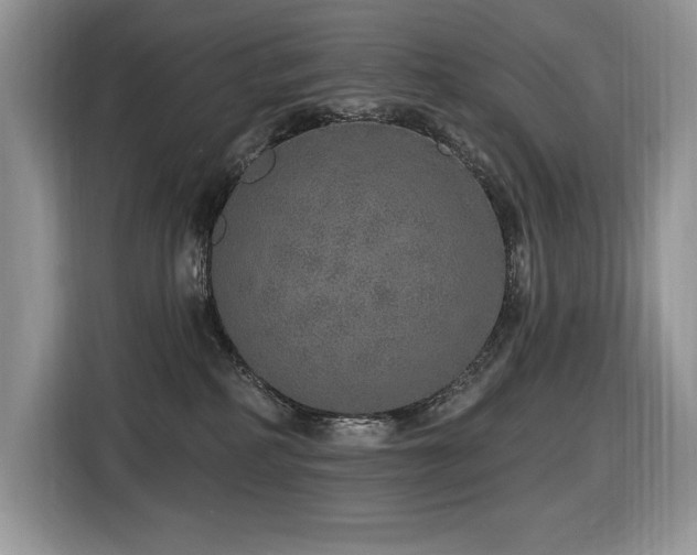 X0000116430234200912081531