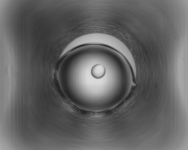 X0000116430235200912081531
