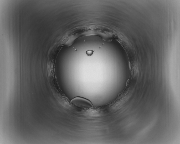 X0000116430236200912081531