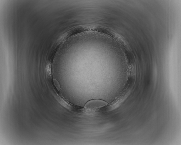 X0000116430238200912081531