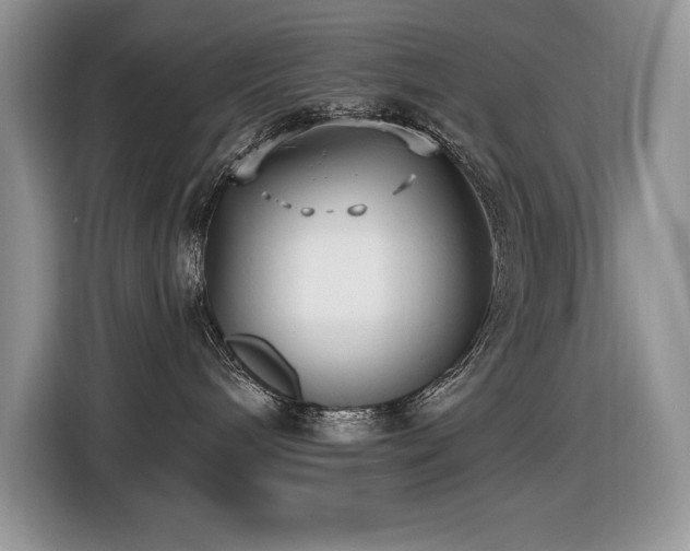 X0000116430240200912081531