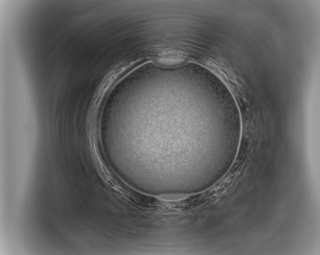 X0000116430241200912081530