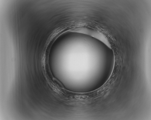 X0000116430242200912081530