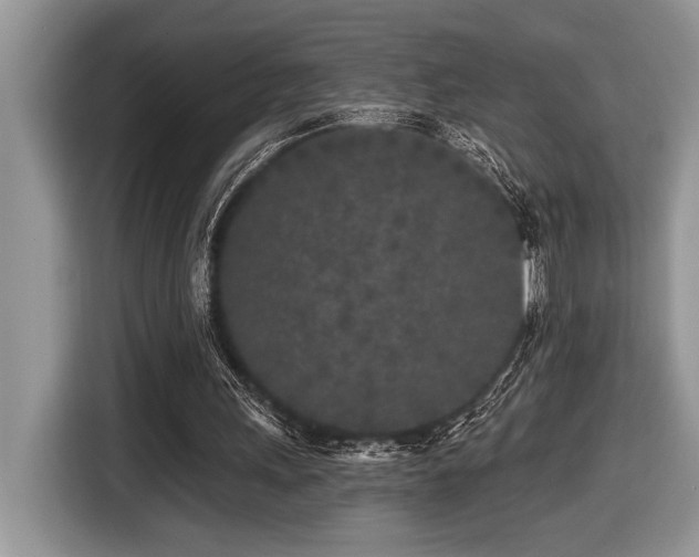 X0000116430243200912081530