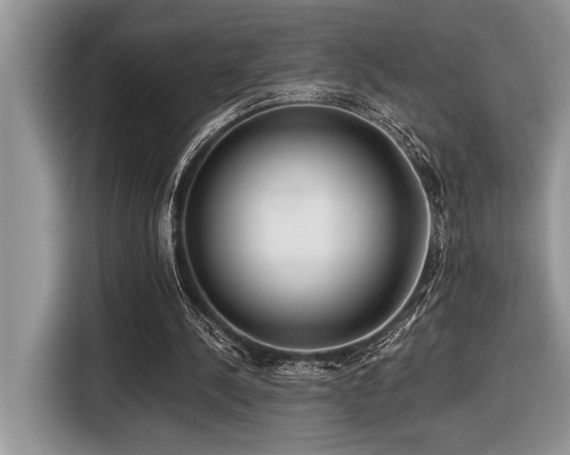 X0000116430244200912081530