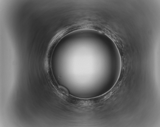 X0000116430245200912081530