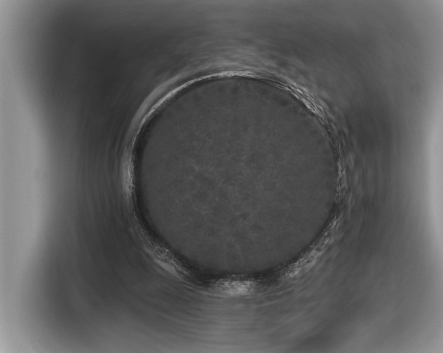 X0000116430247200912081530