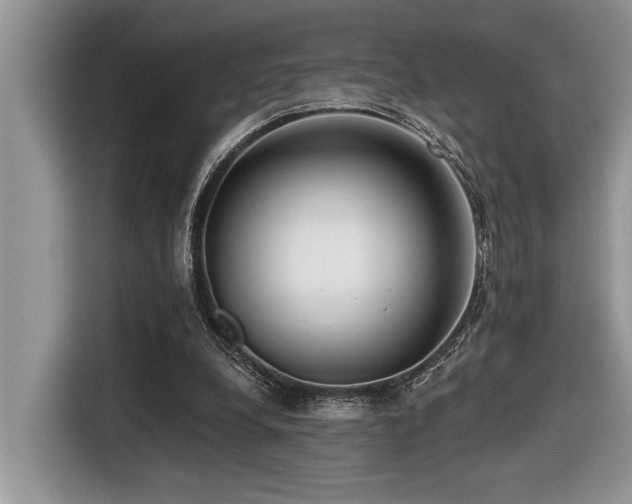 X0000116430248200912081530
