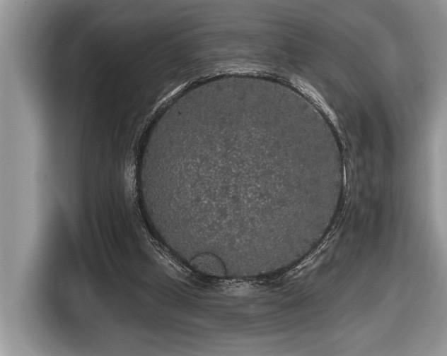 X0000116430249200912081530