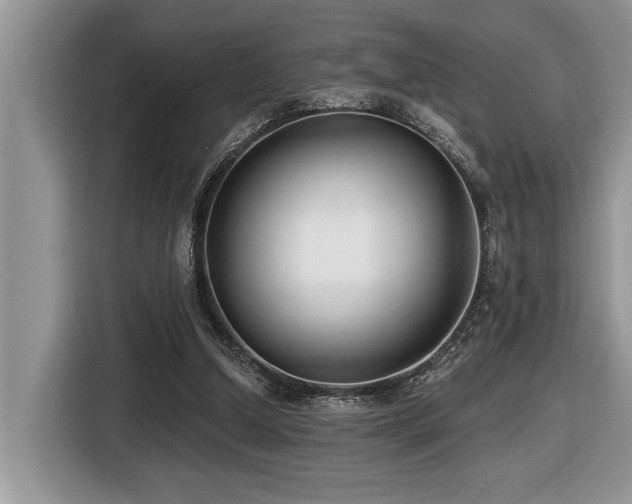 X0000116430250200912081530
