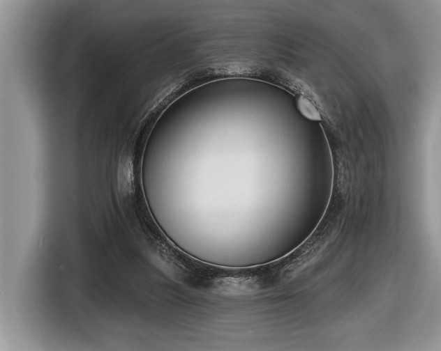 X0000116430251200912081530