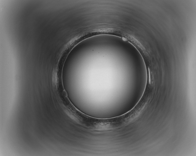 X0000116430252200912081530