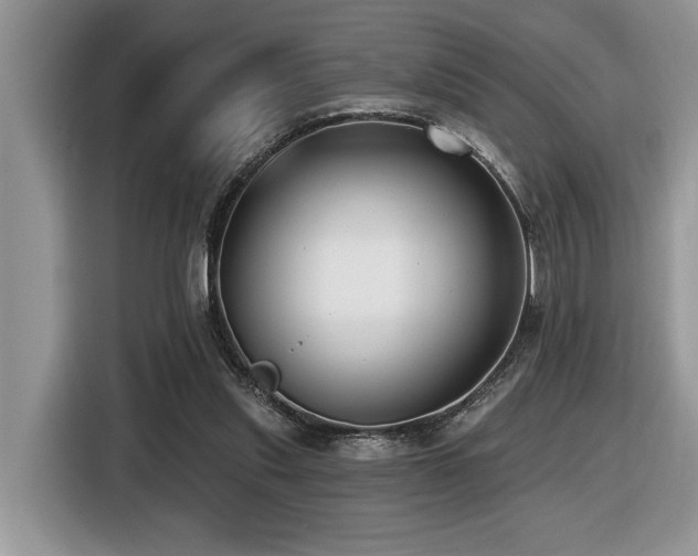 X0000116430253200912081530