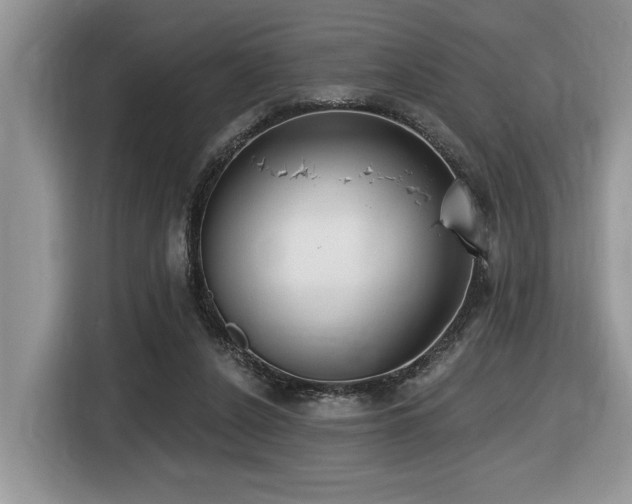 X0000116430256200912081530