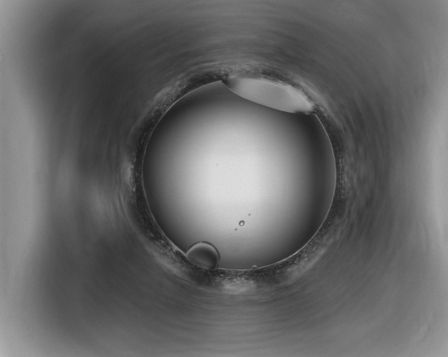 X0000116430258200912081530