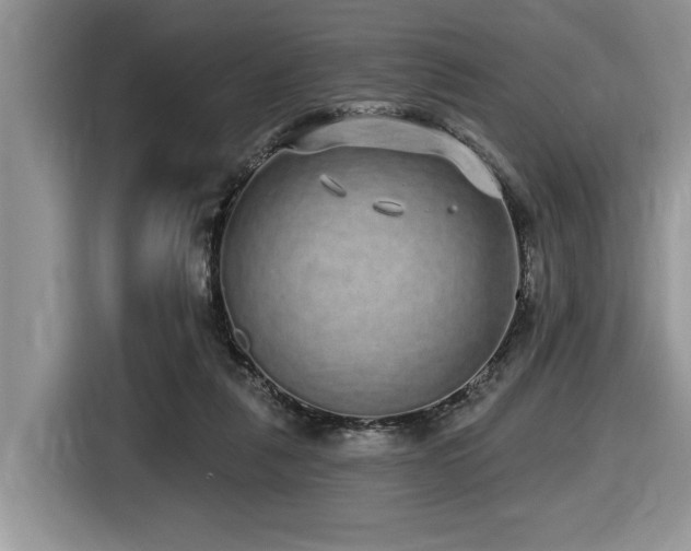 X0000116430259200912081530
