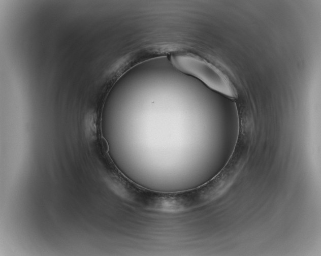 X0000116430264200912081530