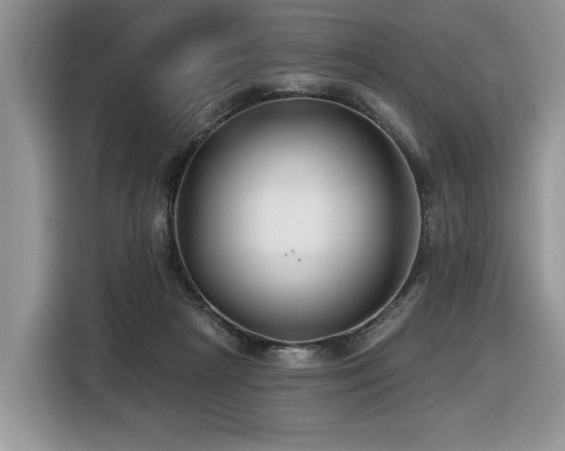 X0000116430265200912081530