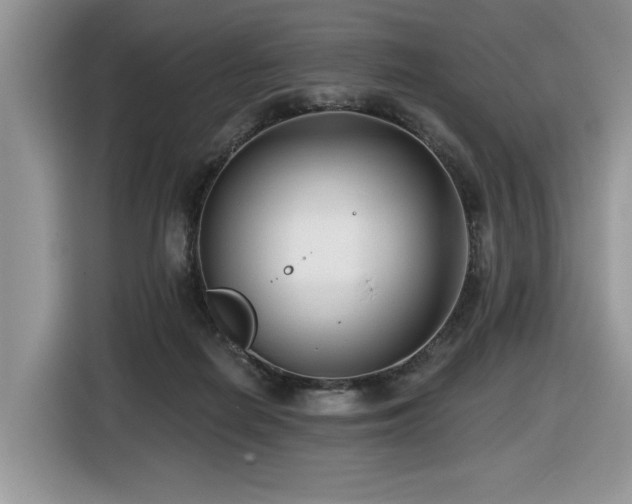 X0000116430266200912081530