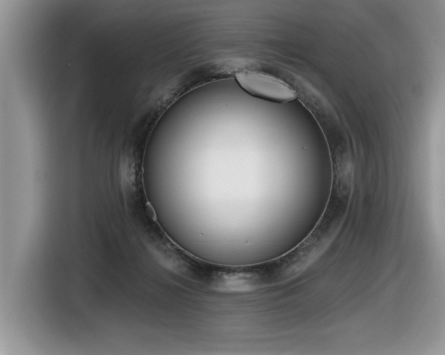 X0000116430268200912081530