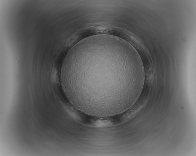 X0000116430270200912081530