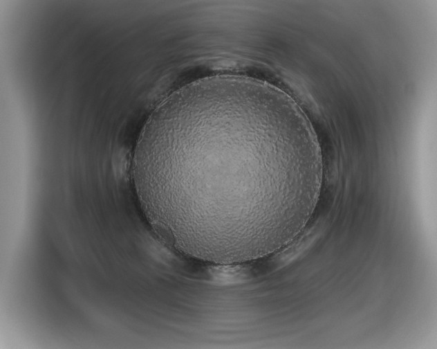 X0000116430273200912081530