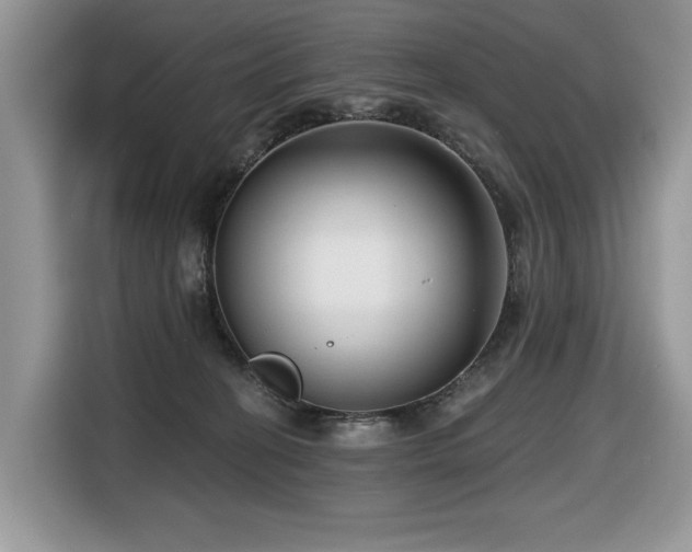 X0000116430274200912081530