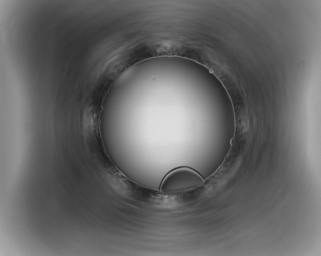X0000116430276200912081531