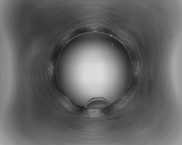 X0000116430279200912081531