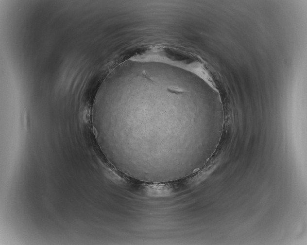 X0000116430281200912081531
