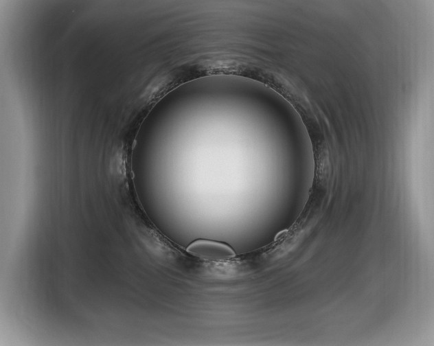 X0000116430282200912081531