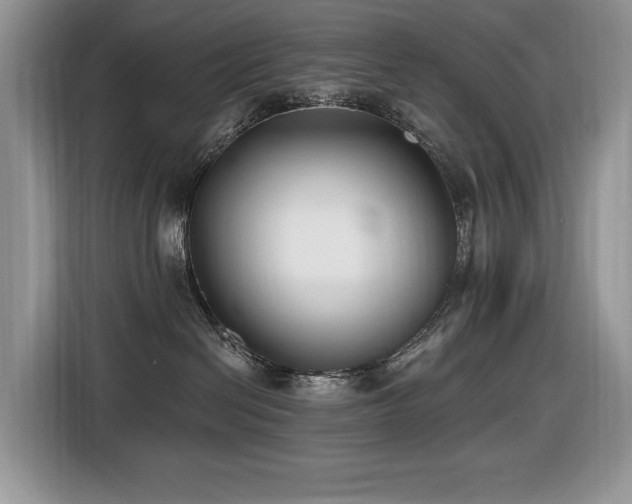 X0000116430286200912081531