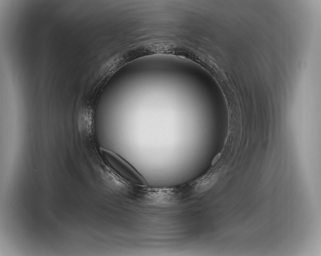 X0000116430288200912081531