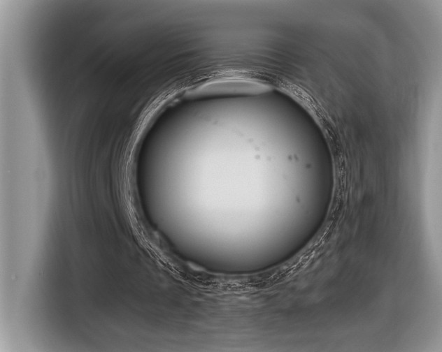 X0000116430289200912081530