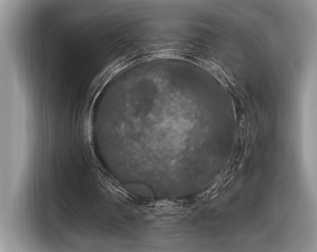 X0000116430290200912081530
