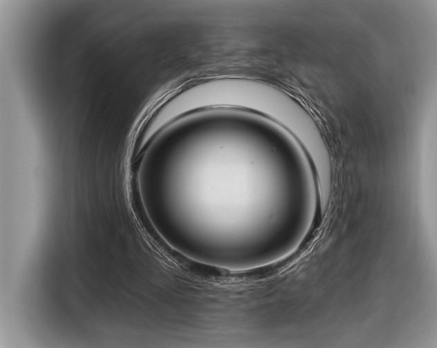 X0000116430293200912081530